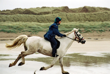 Ireland-Sligo/Donegal-Cross Country & Jumping  Program - Sligo